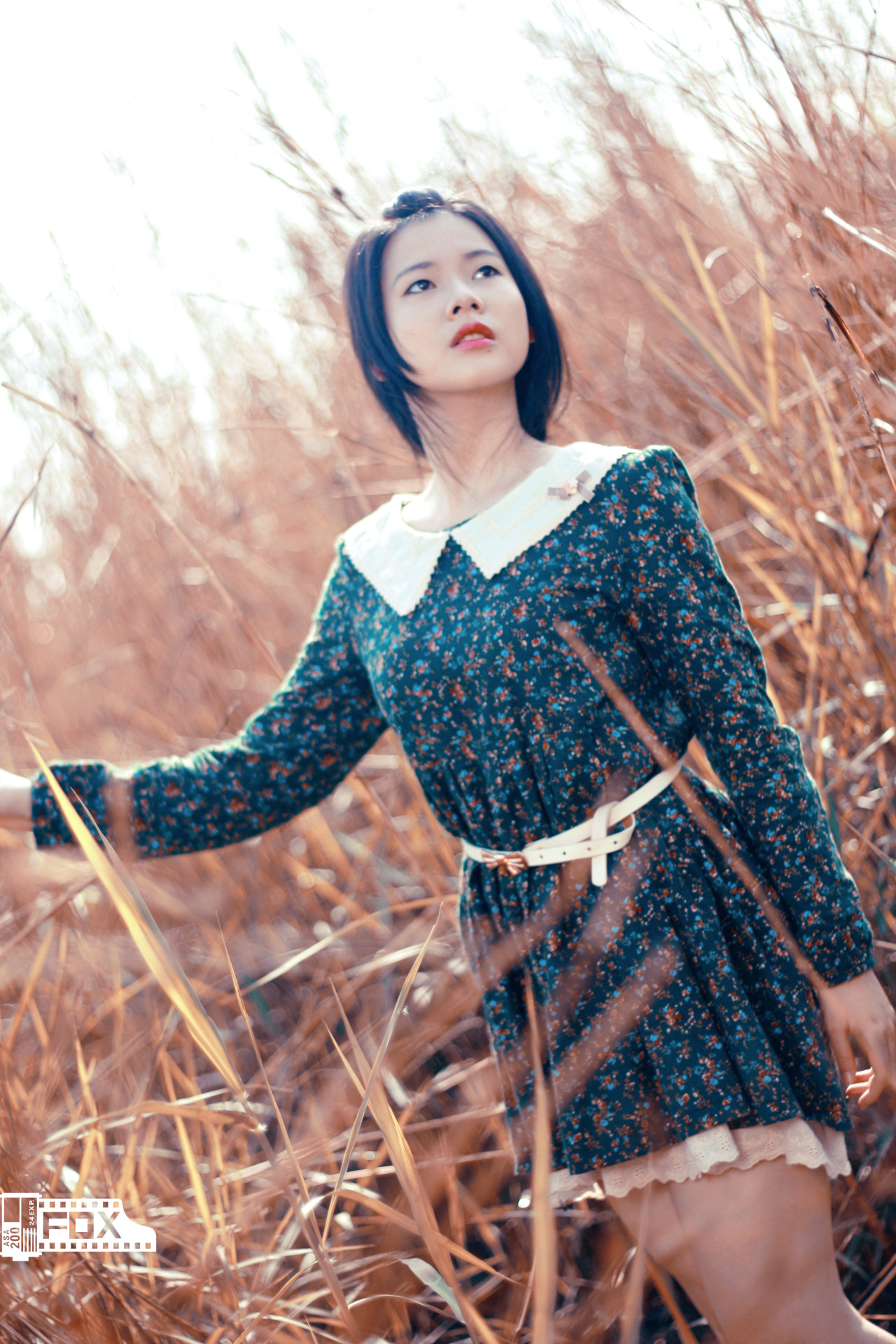 丧尸屠城2